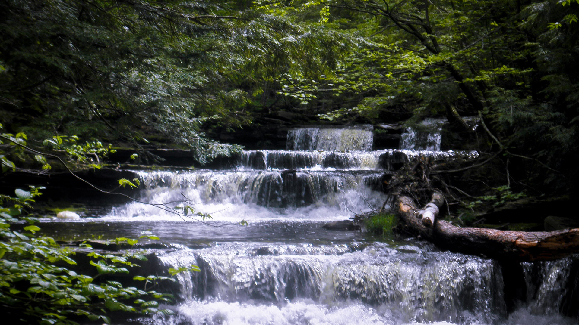 Stream