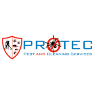 What Are The Best Ways To Get Rid Of Cockroaches Instantly?