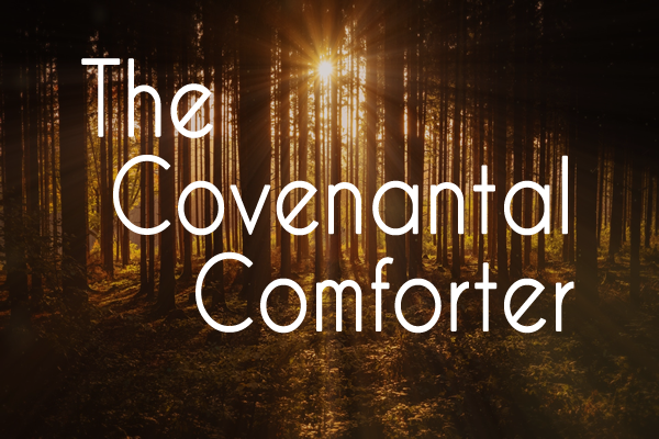 The Covenantal Comforter