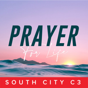 Prayer that Brings Heaven to Earth Through You - Josh Taylor (Week 2)