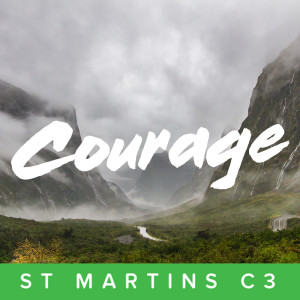 Prayers of Courage - Warren Gouman