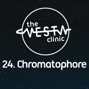 24. Chromatophore