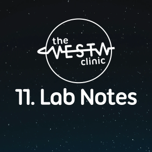 11. Lab Notes