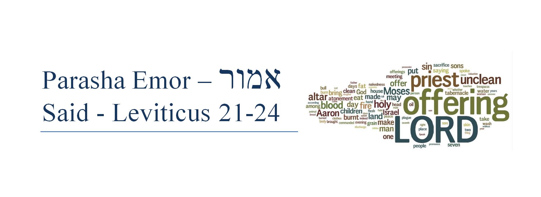 Emor 2017, Parsha (Book of Vayikra - Leviticus)