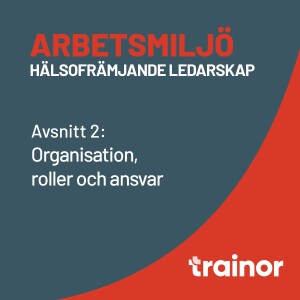 Arbetsmiljö – Hälsofrämjande ledarskap del 2/8: Organisation, roller och ansvar