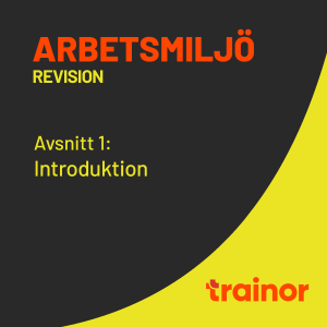 Arbetsmiljö – Revision del 1/8: Introduktion