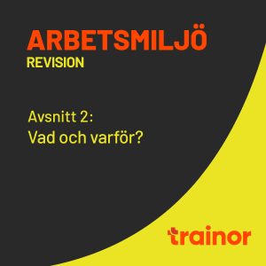 Arbetsmiljö – Revision del 2/8: Vad och varför?