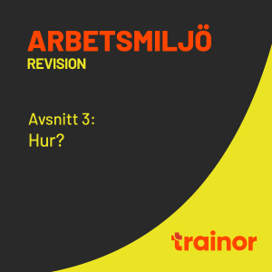 Arbetsmiljö – Revision del 3/8: Hur?