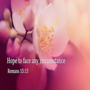 Hope to Face Any Circumstance