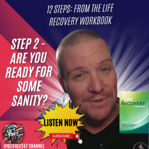 Are you ready for some sanity?  |  Step 2 Life Recovery Workbook 12 Step Program  |  Set Free 24-7