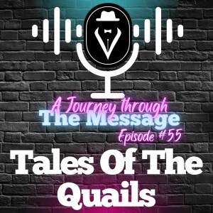 Journey Through The Message 55  |  Tales of the Quails