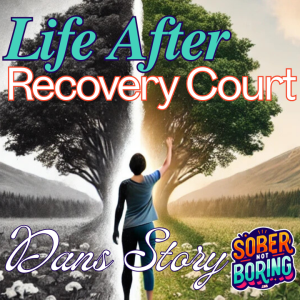 Life After Recovery Court - Dan's Story at the Sober Not Boring IM FAN Community Forum