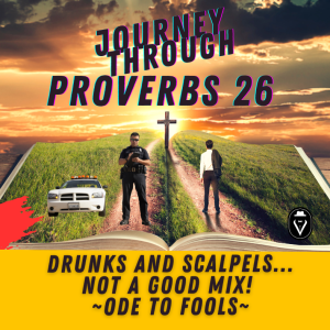 Drunks and Scalpels...Not A Good Mix! Ode To Fools  |  Journey Through Proverbs 26  |  Set Free 24-7