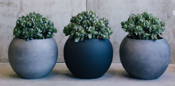 Types of Pots for Unique Gardeners