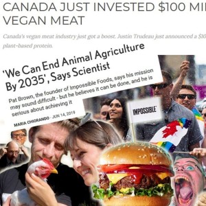 Mourn & Scorn | Impossible Foods threatens end of Meat