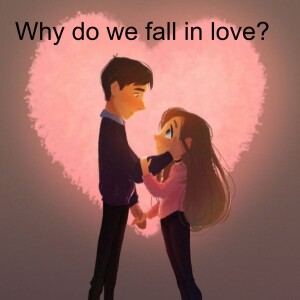 Why do we fall in love? நாம என் காதல்ல விழுறோம்?