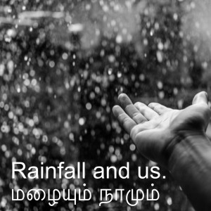 Rainfall and us. மழையும் நாமும்