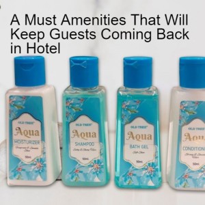 A Must Amenities That Will Keep Guests Coming Back in Hotel