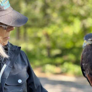 Falconry & Coprolites