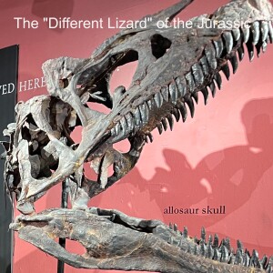 The ”Different Lizard” of the Jurassic