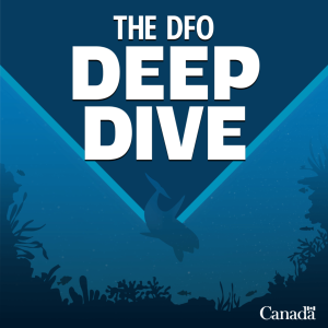 Welcome to the DFO Deep Dive