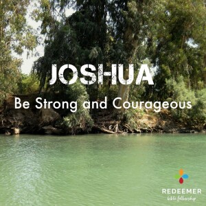 Joshua 10:1-12:24 - The Believer’s Warfare