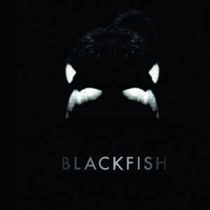 Episode 5 - Blackfish