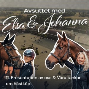 11. Presentation av oss & Våra tankar om hästköp