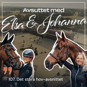 107. Det stora hov-avsnittet