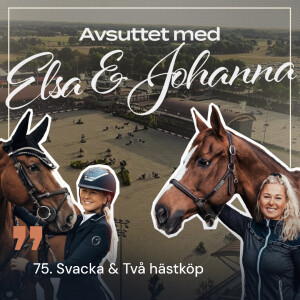 75. Svacka & Två hästköp