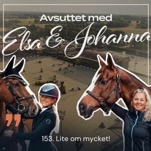 153. Lite om mycket