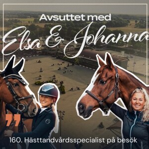 160. Hästtandvårdsspecialist på besök