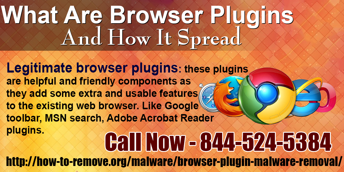 What are Browser Plugins?