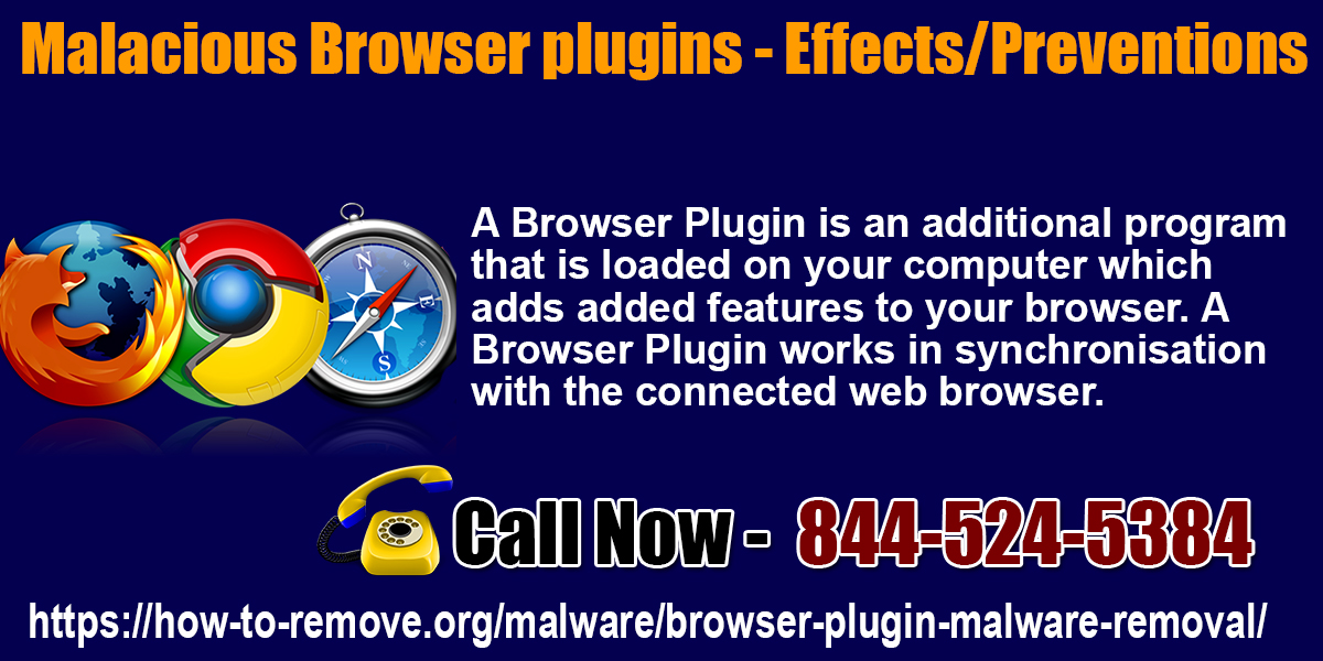 Malacious Browser Plugins Effects/Preventions