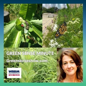 Changing green careers - Green Sense Minute