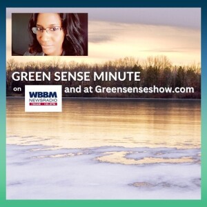 Great Lakes Ice - Green Sense Minute