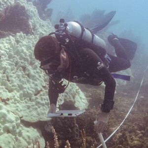 Dr. Ross Cunning: Coral Reef Researcher at the Shedd Aquarium