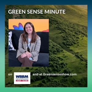 Carbon Offset Credits - Green Sense Minute