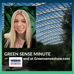 Emotional Intelligence - Green Sense Minute