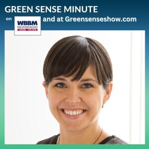 Alaina Harkness - Green Sense Minute