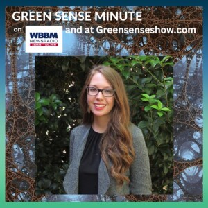 New EV Report - Green Sense Minute