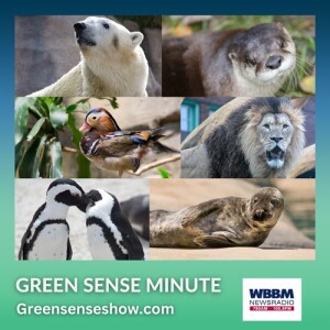 Caring for zoo animals - Green Sense Minute