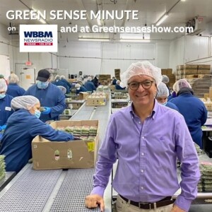 Infinite Herbs - Green Sense Minute