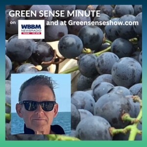 Food as Medicine - Green Sense Minute