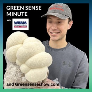 Exotic Mushrooms - Green Sense Minute