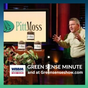 Getting a Shark Tank Deal - Green Sense Minute