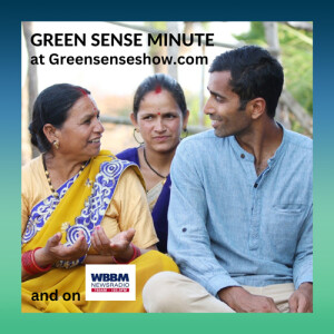 Life-changing Tea - Green Sense Minute