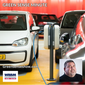 2025 car market - Green Sense Minute