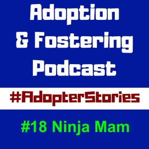 Adopter Stories - #18 Ninja Mam