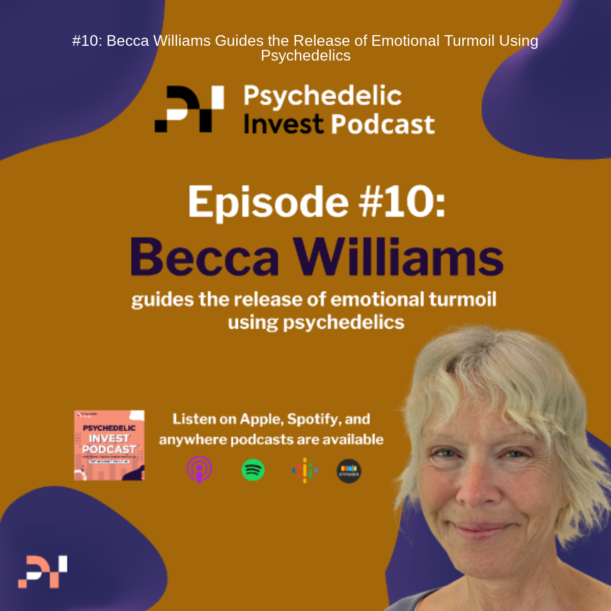 The Psychedelic Invest Podcast